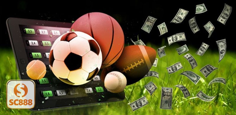 Cá cược bóng chuyền - Kèo tài xỉu tổng điểm (Over/Under)