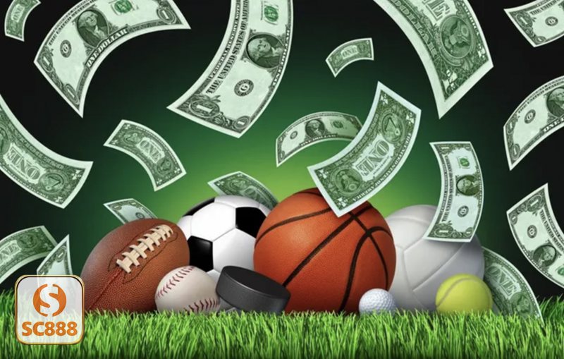 Cá cược bóng chuyền - Các bước đặt cược chi tiết cho tân thủ