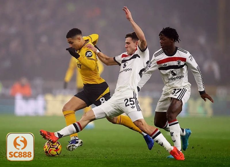 Thể Thao SC888 - Hệ sinh thái giải đấu đa dạng